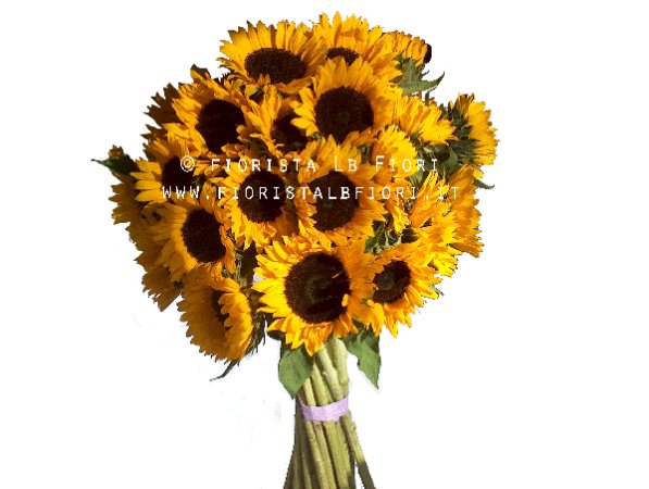 Bouquet di soli girasoli