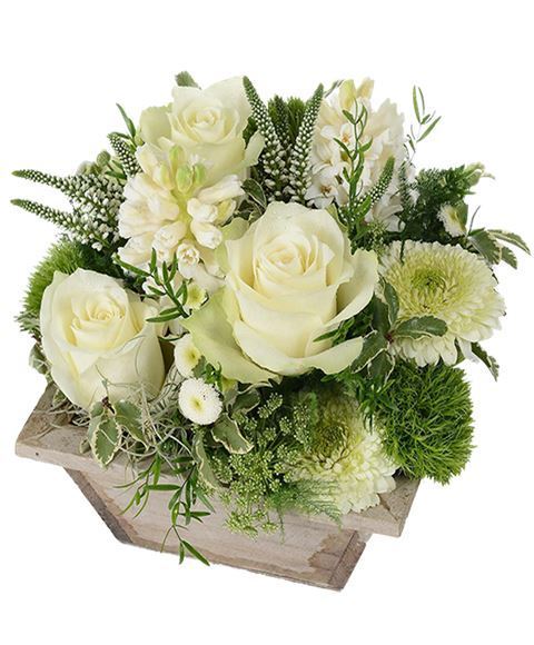 Composition of white flowers
