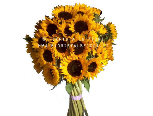 Bouquet di soli girasoli