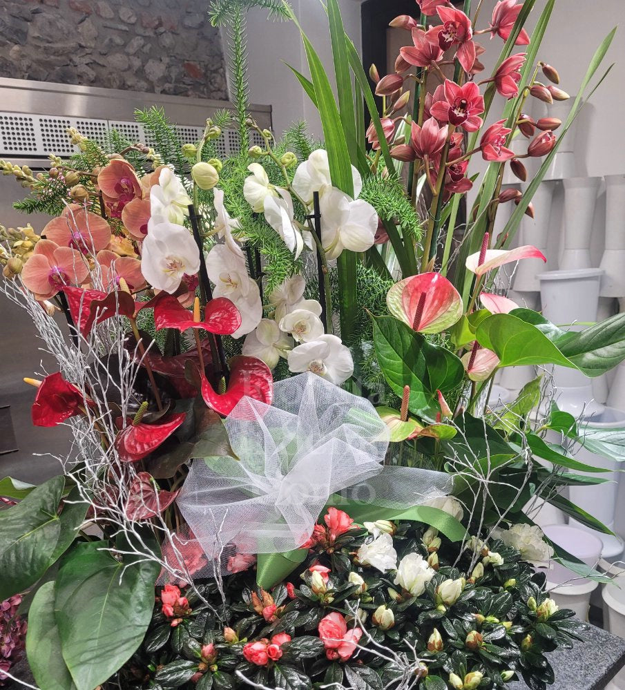 Composizione Mista di Piante Fiorite