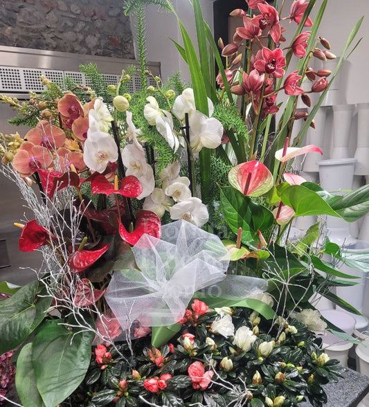 Composizione Mista di Piante Fiorite