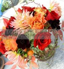 Composition of wild flowers
