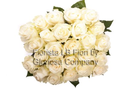 Rose Bianche a Gambo Medio